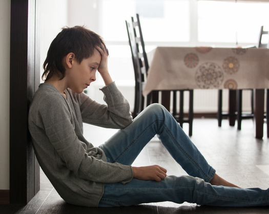 The need to reform mental-health treatment standards is expected to be a major push by the New Mexico governor during the 2025 legislative session. (TatyanaGladskih/Adobe Stock)