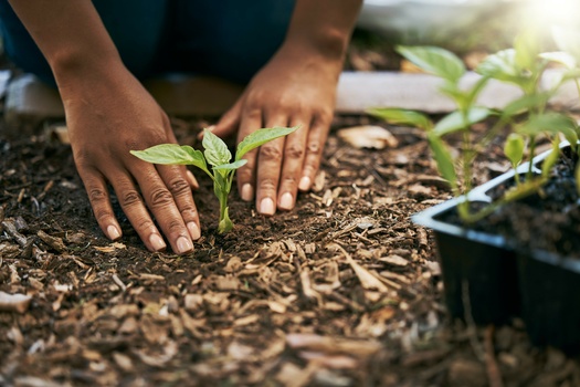 Black American farmers lost more than $300 billion worth of land in the 20th century, in part due to the USDA's discriminatory practices. (Lou W/peopleimages.com/Adobe Stock)