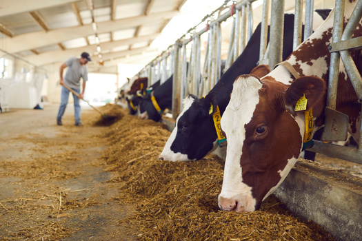 The proposed FEED Act has bipartisan support. (Adobe Stock)