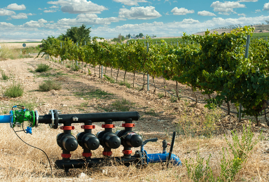 Water conservation projects in Arizona, California, Colorado, Idaho, Kansas, Montana, Nebraska, Nevada, Texas, Utah and Wyoming are expected to save more than 111,000 acre-feet of water annually, enough water to supply approximately 447,000 people for a year. (Adobe Stock)