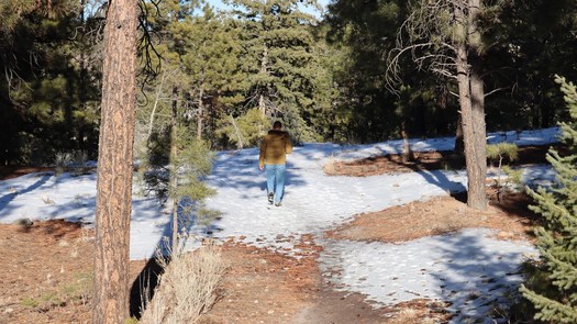 The federal government began cleaning up nuclear waste in New Mexico's Acid Canyon in the late 1960s, but one scientist said it is not gone. (National Park Service)
