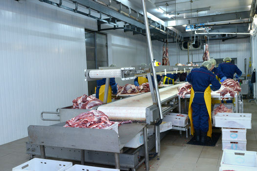 Critics of the commercial meatpacking industry said conditions are inhumane for the animals and dangerous for the people who work in processing plants. (Adobe Stock) 