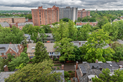The Baltimore Tree Trust has planted nearly 17,000 trees around the city since 2008. (Andrew Kazmierski / Adobe Stock)