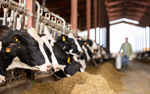 Every five years, the Farm Bill expires and is renewed through a lengthy process of proposal, debate, and approval by Congress, followed by the President's signature to become law. (JackF/Adobe Stock)