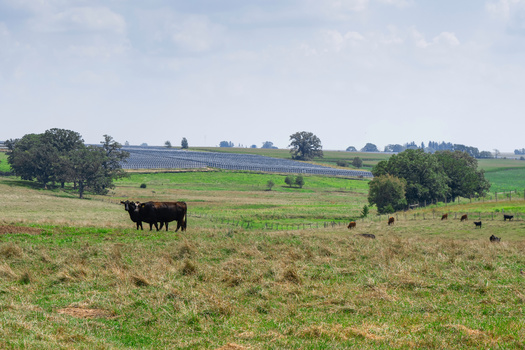 Research shows South Dakota had the fifth-highest rate of cropland abandonment between 1986 and 2018, trailing Texas, North Dakota, Kansas and Montana. (Adobe Stock)