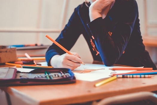 School-based mental and behavioral health services help prevent issues and enhance educational achievement and future employment opportunities. (Coyot/Pixabay)