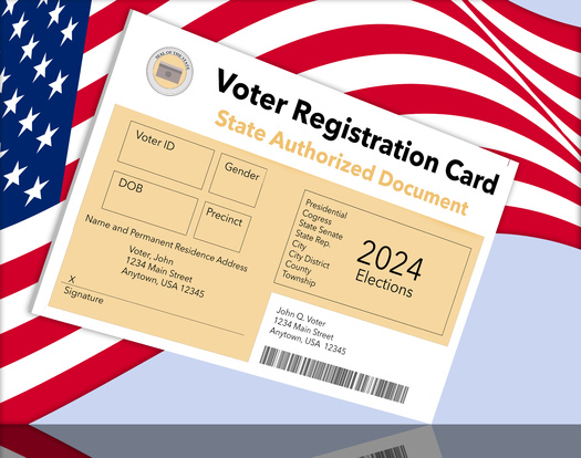 Texas no cuenta con registro de votantes en lnea, pero puede actualizar su informacin o solicitar una tarjeta de registro de votantes en www.votetexas.gov. (Rob Goebel/Adobe Stock)