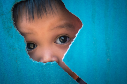 Project ECHO is a lifelong learning and guided practice model providing professional development and offering best practices. (Adobe Stock) 