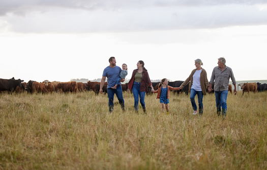 Independent agriculture producers are asking Congress to consider small family farmers in the next Farm Bill, which has yet to be debated in the nation's capital. (Adobe Stock)