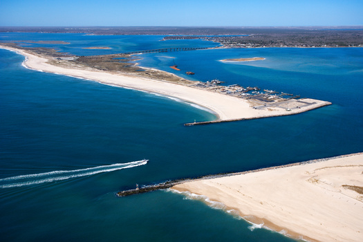 In 2022, there was a 1,700% increase in hard clams in Shinnecock Bay and more than 110 acres of seagrass was regrown. (Adobe Stock)