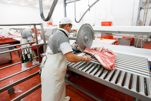 Meatpackers are able to lower the cost of processing each animal by running bigger operations compared to smaller facilities. (Dragosh/Adobe Stock)
