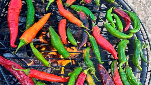 Green chiles take center stage next month when New Mexico extension agents offer classes in preservation techniques. (Photo courtesy of NMSU)