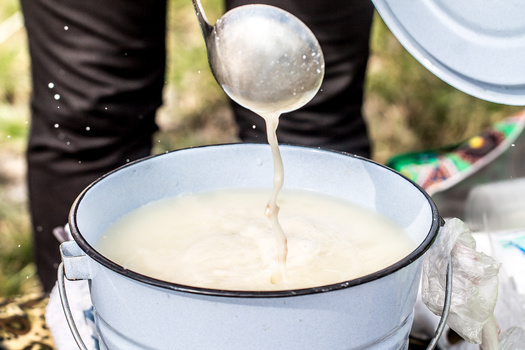 In a new national survey, people 65 and older were more likely than other age groups to think raw milk was less safe than pasteurized milk. (Adobe Stock)