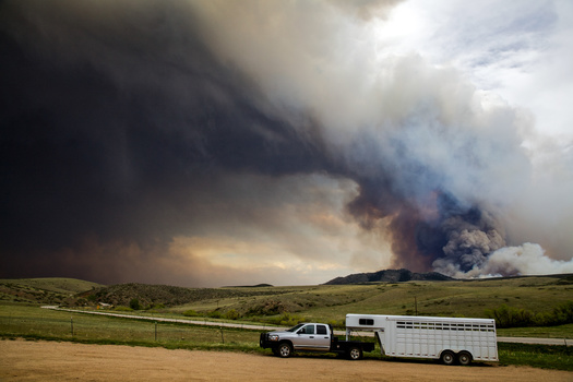In response to the House Draw Fire, the Wyoming Game and Fish Department invited reports of injured wildlife to a hotline typically used to report poaching. (Adobe Stock)