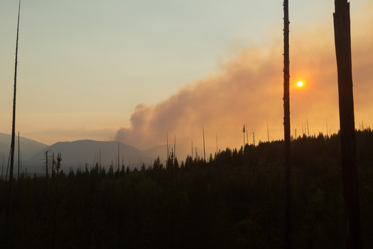 As part of its Collaborative Wildfire Risk Reduction Program, the U.S. Forest Service has made $8 million available to help prevent fires in Montana by reducing hazardous fuels. (Adobe Stock)