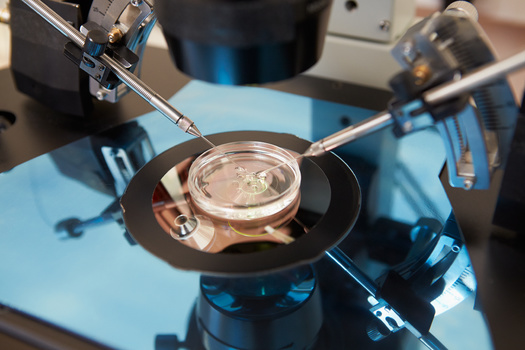 The U.S. Department of Health and Human Services estimates the cost for a single cycle of IVF to range from $15,000 to $20,000 and can exceed $30,000 if a donor egg is involved. (Adobe Stock)