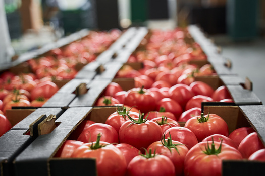 According to the newly-formed South Dakota Healthy Nutrition Collaborative, over 100,000 South Dakotans experience food insecurity, including 24,000 children. (Yakobchuk Olena/Adobe Stock)