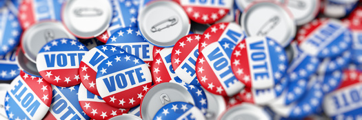 The Illinois State Election Board reported nearly 5 million residents, a little more than 98% of registered voters cast their vote in the 2020 presidential election. (Adobe Stock)