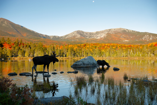 The Land for Maine's Future program has helped preserve more than 67 miles of shoreline on rivers, lakes and ponds, as well as 42 farms and 9,819 acres of farmland and the conversion of 158 miles of former railroad corridors into recreational trails. (Adobe Stock)