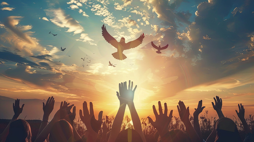 The International Day of Peace is observed around the world each year on Sept. 21.(Anna Iluschenko/Adobe Stock)