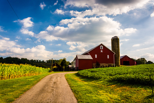 The debate over a new Farm Bill and where to prioritize funding comes as the number of farms declines while farm sizes go up. Experts said it is a symptom of corporate consolidation within agriculture. (Adobe Stock)