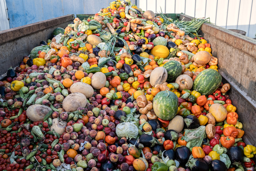 The U.S. Department of Agriculture estimates more than one-third of food produced in the U.S. is never eaten, wasting the resources used to produce, process and distribute it. (Adobe Stock)