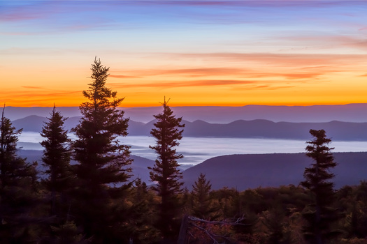 Visitors can take in the view from Bear Rocks at the Dolly Sods. According to data collected by the West Virginia Highlands Conservancy, an estimated 35,000 people visit the Dolly Sods each year. (Adobe Stock)