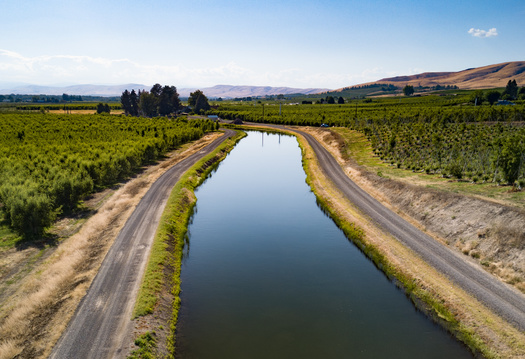 Farm runoff contributes to nitrate pollution in nearby waterways. (Reagan/Adobe Stock)