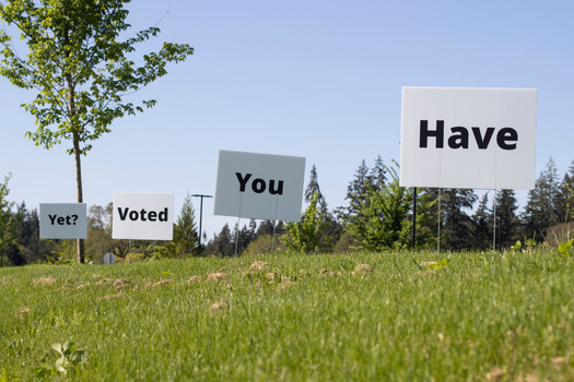In key takeaways from 2024 polling data released by the Rural Democracy Initiative, Donald Trump held a 26-point lead among registered rural voters back in March. However, Kamala Harris has cut Trump's lead to 18 points among rural likely voters based on updated surveys. (Adobe Stock)