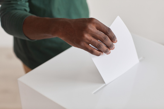 In September, the Michigan Senate passed SB 401, a bill to expand voter rights and accessibility in the state. The measure is set for a hearing next week in the House Elections Committee. (Adobe Stock)