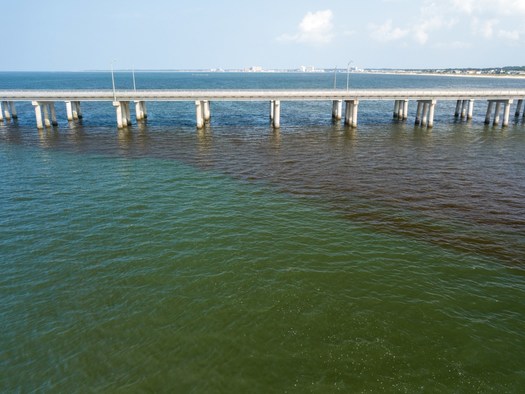 An algal bloom is seen near the Chesapeake Bay Bridge Tunnel in Virginia in August 2021. (Photo courtesy Wyatt Young/Chesapeake Bay Foundation)
