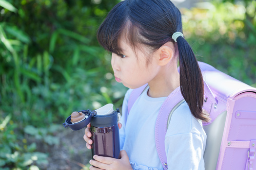 A recent report gave Wyoming low marks for its efforts to reduce exposure to lead in K-12 schools. (Adobe Stock)
