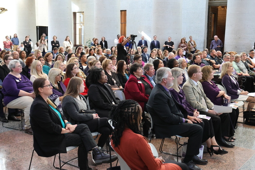 Domestic violence-related homicides in Ohio doubled from 2018 to 2019, highlighting a growing crisis in the state. (Domarita Lopez-Wilcox)