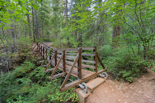Popular recreation sites like those found in the Gifford Pinchot National Forest are included in the Northwest Forest Plan area. (jpldesigns/Adobe Stock)