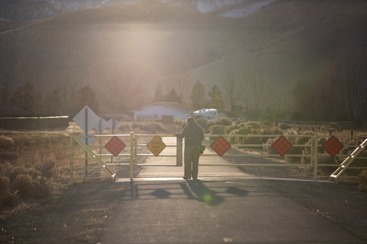 Black rural voters overwhelmingly support Harris at 79%, according to the Rural Democracy Initiative poll. (Adobe Stock)