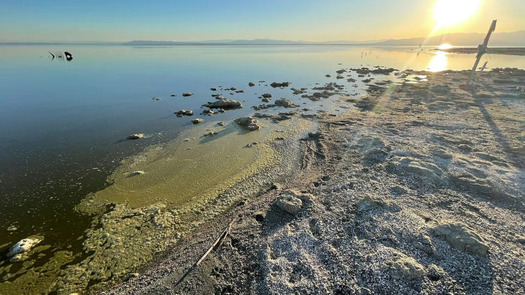 The Salton Sea, south of the Palm Springs area, is a heavily polluted lake with large geothermal and lithium resources beneath it. (Dr. Manuel Pastor)