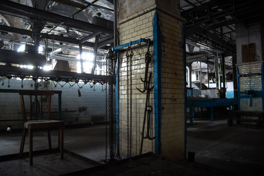 According to the USDA, there are 2,850 slaughterhouses in the U.S., not including facilities slaughtering poultry. (Adobe Stock)