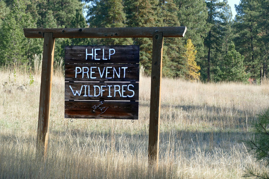 Opponents of Initiative 2117 say repealing the Climate Commitment Act would cut about $30 million in wildfire prevention funding. (cascoly2/Adobe Stock)