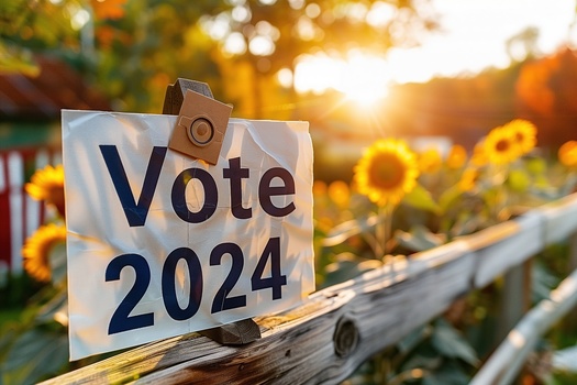Thus far in 2024, 75% of down-ballot elections were uncontested nationwide, meaning a candidate ran for office without opposition. (Matt/Adobe Stock)