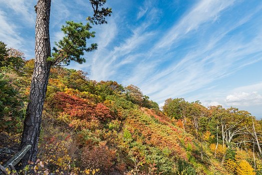Hazel Mountain Overlook in Virginia's Shenandoah National Park. (NPS| Brett Raeburn/Wikicommons)