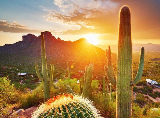 The National Park Service is grappling with underfunding, staff shortages and a nearly $12 billion repair backlog, according to the National Parks Conservation Association. (Adobe Stock)