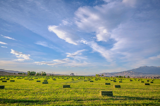 The LeRay McAllister Fund was created to safeguard Utah's agricultural landscapes and economy, according to the Utah Department of Agriculture and Food. (Adobe Stock) 