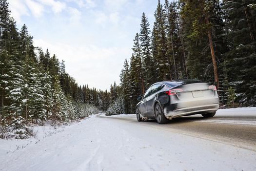 New York State saw higher rates of electric vehicles and plug-in hybrid vehicles purchased in 2023 than in 2024. (Adobe Stock)
