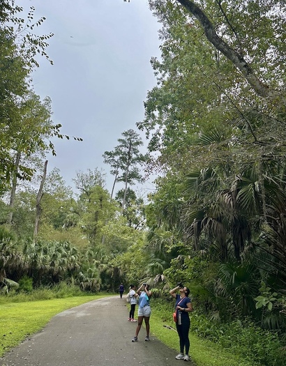 According to Hispanic Access, an urban canopy provides enormous benefits, from reducing the urban heat island effect and lowering energy bills to absorbing carbon dioxide and pollutants. (Hispanic Access Foundation)