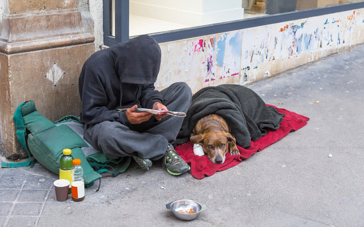 The National Alliance to End Homelessness found 10% of people experiencing homelessness have service, emotional support or companion animals. (Adobe Stock)