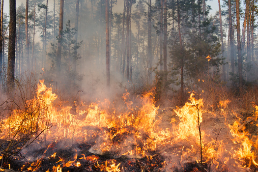 The practice of intentionally burning excess vegetation has faced opposition from the public. (gilitukha/Adobe Stock)