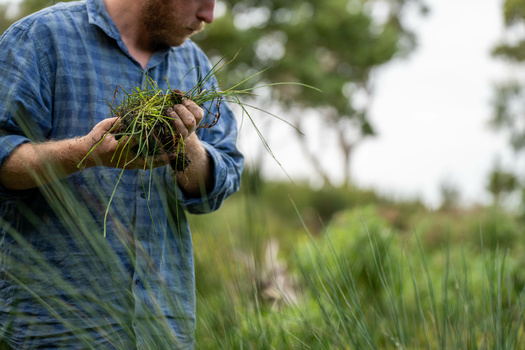 Since 1991, Minnesota's Environment and Natural Resources Fund has provided about $700 million to over 1,700 projects statewide, including things like research work for soil health. (Adobe Stock)