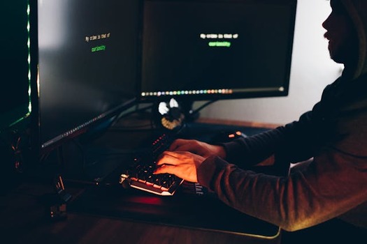 The Internet Crime Complaint Center is the central hub for reporting cyber-enabled crime. It is run by the FBI, the lead federal agency investigating crime. (Anete Lusina/Pexels)