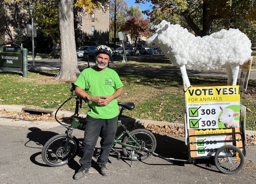 Animal-rights advocates are testing whether asking for people's votes can be more effective than asking people to change their diet. (Galatas) Animal rights advocates are testing whether asking for peoples votes can be more effective than asking people to change their diet. (Galatas)