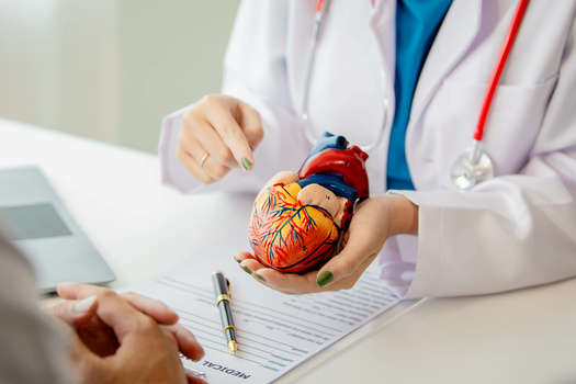 According to the American Heart Association, a healthy eating pattern includes whole foods, lots of fruits and vegetables, lean protein, nuts, seeds, and cooking in non-tropical oils such as olive and canola. (Adobe Stock) 